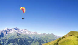 Feature Image 3