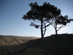 Dune du Pyla 2016 006