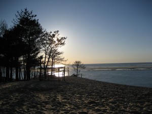 Dune du Pyla 2016 033