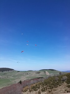 20170422_153507